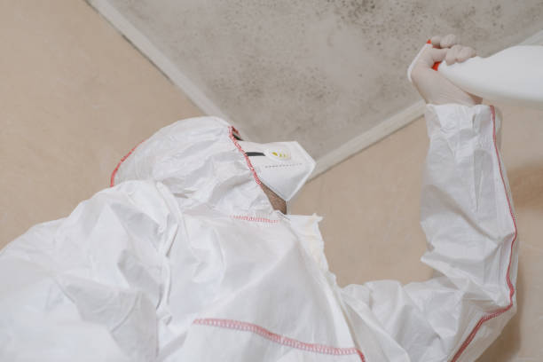 Best Crawl Space Mold Removal  in Marseles, IL