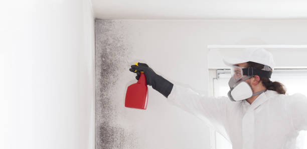 Best Mold Testing  in Marseles, IL