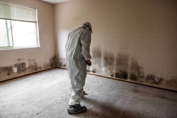 Water Damage Restoration in Marseilles, IL