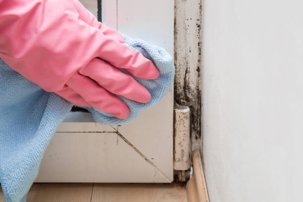 Best Mold Cleaning Services  in Marseles, IL
